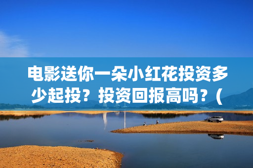 电影送你一朵小红花投资多少起投？投资回报高吗？(电影送你一朵小红花讲述的主题是抗癌吗)