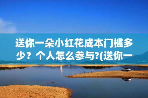 送你一朵小红花成本门槛多少？个人怎么参与?(送你一朵小红花电影免费观看)