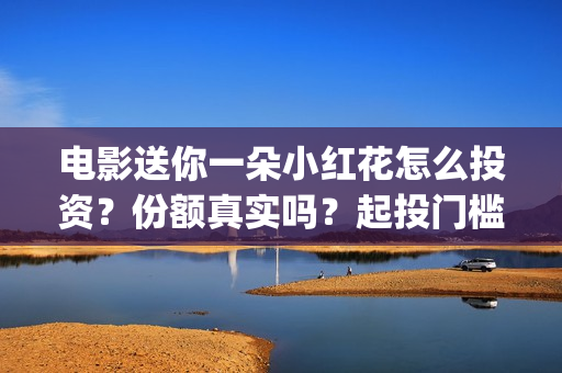 电影送你一朵小红花怎么投资？份额真实吗？起投门槛多少？(电影送你一朵小红花演员表)