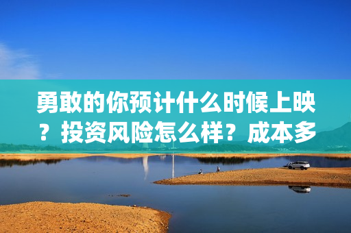 勇敢的你预计什么时候上映？投资风险怎么样？成本多少(勇敢的你何时上映)