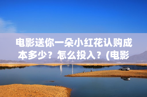 电影送你一朵小红花认购成本多少？怎么投入？(电影送你一朵小红花的英文)