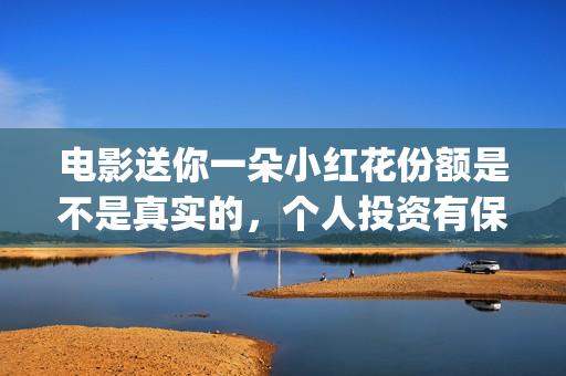 电影送你一朵小红花份额是不是真实的，个人投资有保障吗？ (电影送你一朵小红花豆瓣评分)