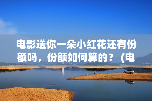 电影送你一朵小红花还有份额吗，份额如何算的？ (电影送你一朵小红花简介)