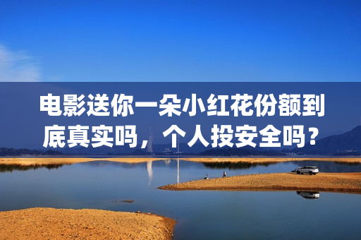 电影送你一朵小红花份额到底真实吗，个人投安全吗？   1小时前 (电影送你一朵小红花的英文)