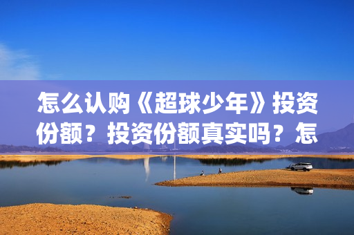 怎么认购《超球少年》投资份额？投资份额真实吗？怎么参与？(怎么认购《超球》的书)