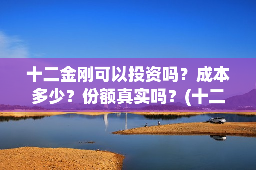 十二金刚可以投资吗？成本多少？份额真实吗？(十二金刚1967)