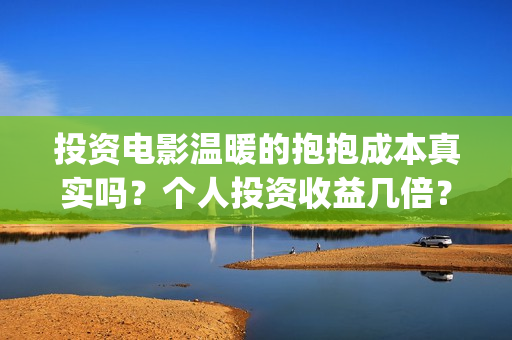 投资电影温暖的抱抱成本真实吗？个人投资收益几倍？(温暖的电影海报)