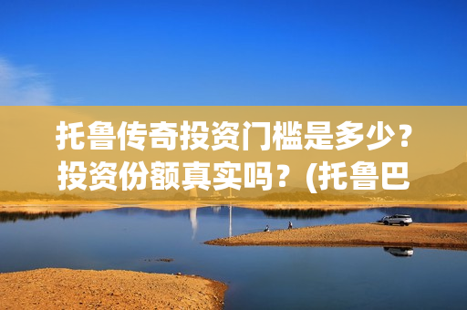 托鲁传奇投资门槛是多少？投资份额真实吗？(托鲁巴姆图片)