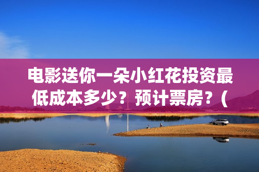 电影送你一朵小红花投资最低成本多少？预计票房？(电影送你一朵小红花主题曲)