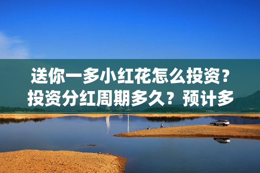 送你一多小红花怎么投资？投资分红周期多久？预计多少票房？(送你一多小红花照片)