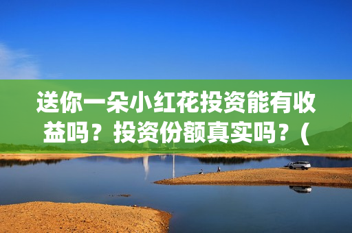 送你一朵小红花投资能有收益吗？投资份额真实吗？(送你一朵小红花歌词)