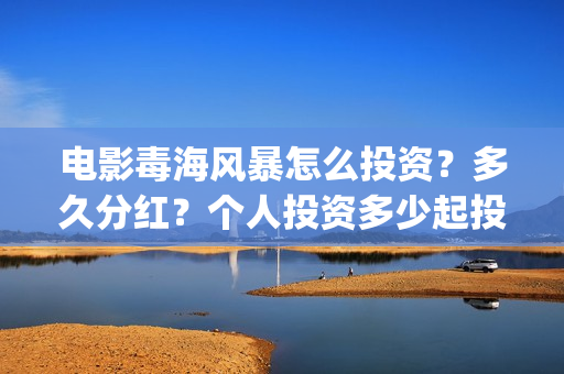 电影毒海风暴怎么投资？多久分红？个人投资多少起投？(毒海风暴有哪几家拍摄)