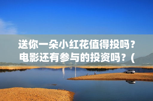 送你一朵小红花值得投吗？电影还有参与的投资吗？(送你一朵小红花电影免费观看)