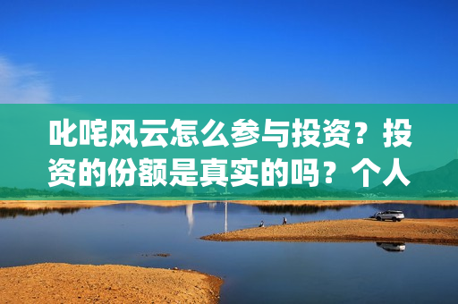叱咤风云怎么参与投资？投资的份额是真实的吗？个人怎么参与？(叱咤风云解说)