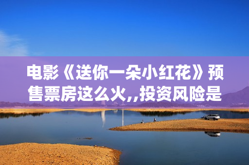 电影《送你一朵小红花》预售票房这么火,,投资风险是不是很低？投资门槛多少？(电影《送你一朵小红花》易烊千玺在)