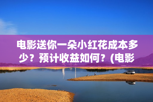 电影送你一朵小红花成本多少？预计收益如何？(电影送你一朵小红花的英文)