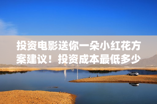 投资电影送你一朵小红花方案建议！投资成本最低多少！投资收益怎么算！(投资的电影)