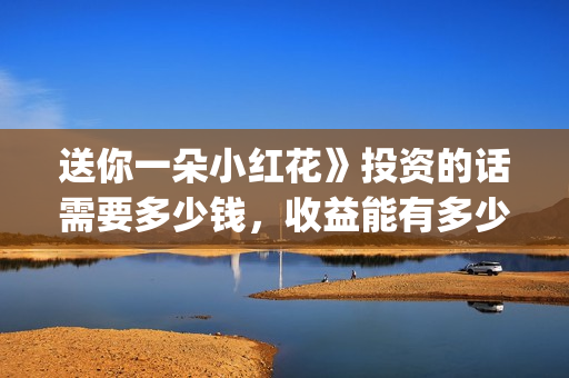 送你一朵小红花》投资的话需要多少钱，收益能有多少(送你一朵小红花结局)