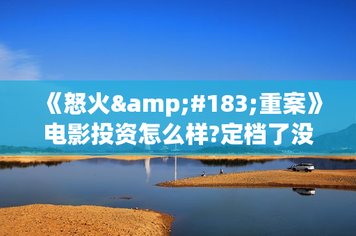 《怒火·重案》电影投资怎么样?定档了没有?个人怎么投资?(怒火·重案解读)