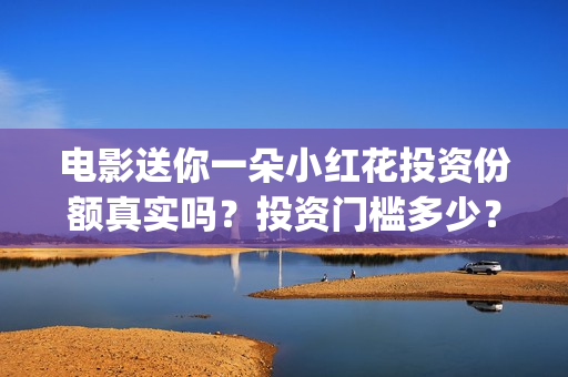 电影送你一朵小红花投资份额真实吗？投资门槛多少？(电影送你一朵小花)