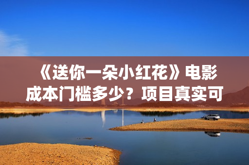  《送你一朵小红花》电影成本门槛多少？项目真实可靠吗？(送你一朵小红花 歌曲)