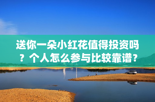 送你一朵小红花值得投资吗？个人怎么参与比较靠谱？(送你一朵小红花演员表)