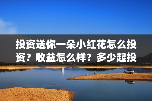 投资送你一朵小红花怎么投资？收益怎么样？多少起投？(送你一朵小红花投资商)