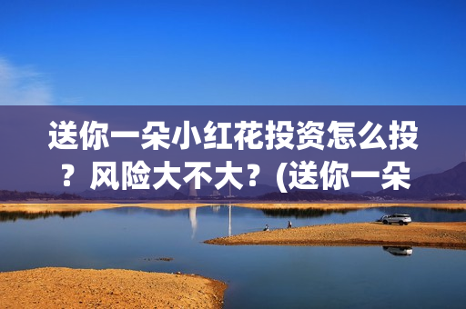 送你一朵小红花投资怎么投？风险大不大？(送你一朵小红花简谱)