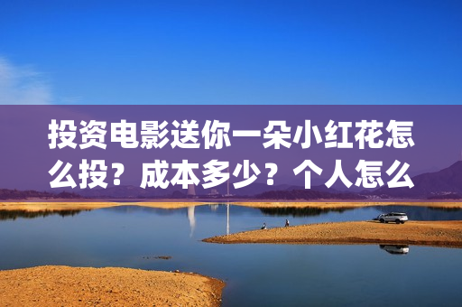 投资电影送你一朵小红花怎么投？成本多少？个人怎么参与？(投资电影一定赚钱吗)