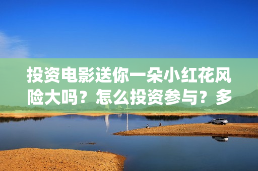 投资电影送你一朵小红花风险大吗？怎么投资参与？多少起投？(给我投资电影)
