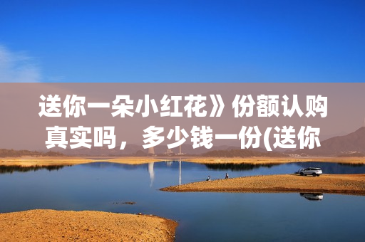 送你一朵小红花》份额认购真实吗，多少钱一份(送你一朵小红花原唱)