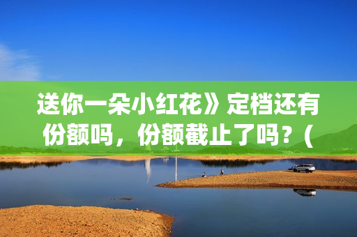 送你一朵小红花》定档还有份额吗，份额截止了吗？(送你一朵小红花电影)