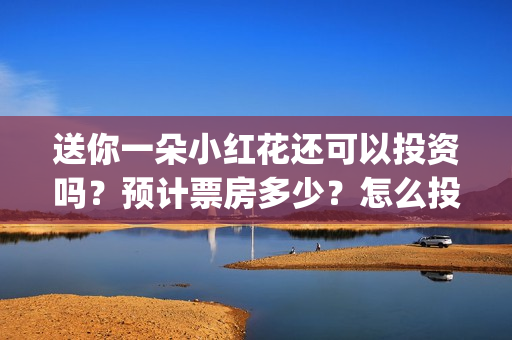 送你一朵小红花还可以投资吗？预计票房多少？怎么投资？(送你一朵小红花电影)