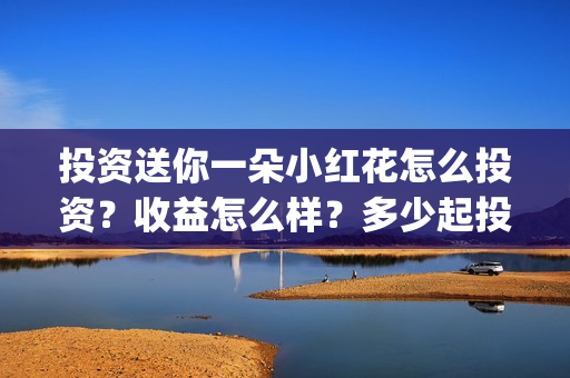 投资送你一朵小红花怎么投资？收益怎么样？多少起投？(投资送你一朵小红花好看吗)