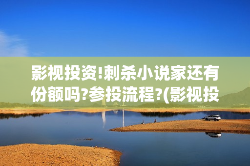 影视投资!刺杀小说家还有份额吗?参投流程?(影视投资网)
