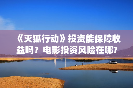 《灭狐行动》投资能保障收益吗？电影投资风险在哪?(灭狐行动出品方)