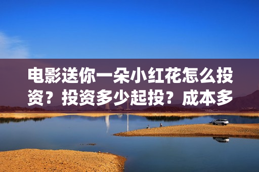 电影送你一朵小红花怎么投资？投资多少起投？成本多少？(电影送你一朵小红花主题曲)