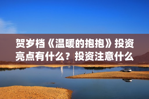 贺岁档《温暖的抱抱》投资亮点有什么？投资注意什么事项？多少钱一份？(贺岁片温暖的抱抱)