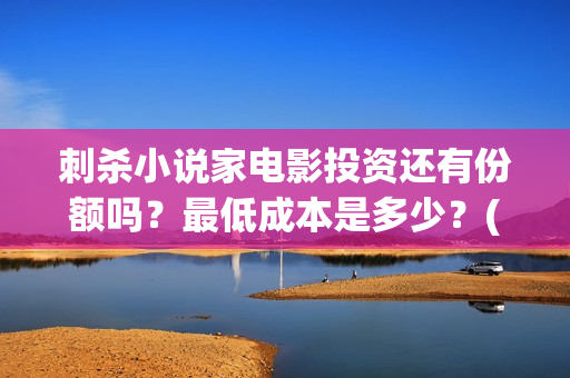 刺杀小说家电影投资还有份额吗？最低成本是多少？(刺杀小说家2电影)