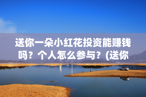 送你一朵小红花投资能赚钱吗？个人怎么参与？(送你一朵小红花简谱)