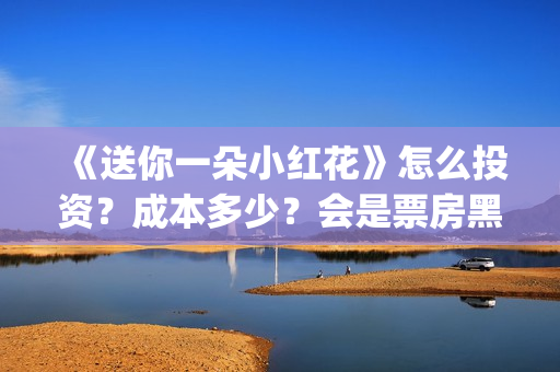 《送你一朵小红花》怎么投资？成本多少？会是票房黑马吗？ (送你一朵小红花电影免费观看)