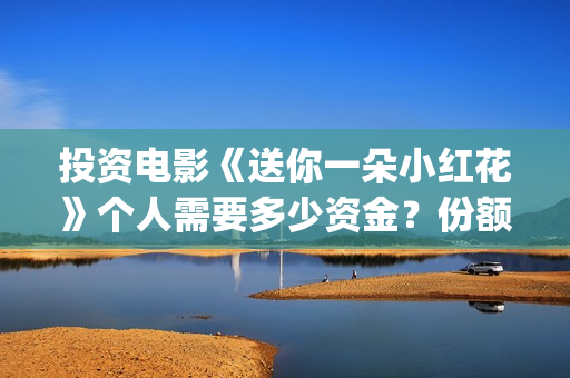 投资电影《送你一朵小红花》个人需要多少资金？份额占比多少？(送你票房一朵小红花演员表)