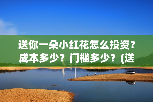 送你一朵小红花怎么投资？成本多少？门槛多少？(送你一朵小红花电影)