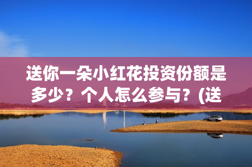 送你一朵小红花投资份额是多少？个人怎么参与？(送你一朵小红花 歌曲)