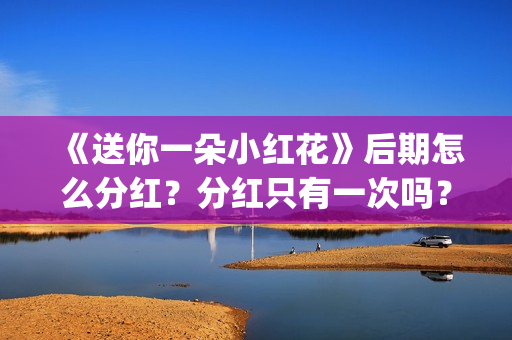 《送你一朵小红花》后期怎么分红？分红只有一次吗？(送你一朵小红花歌词表达什么意思)