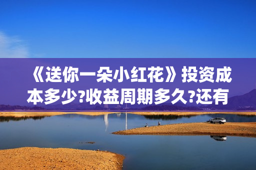 《送你一朵小红花》投资成本多少?收益周期多久?还有份额吗?(送你一朵小红花mp3下载)