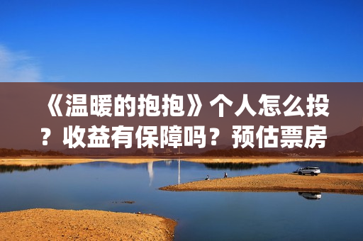 《温暖的抱抱》个人怎么投？收益有保障吗？预估票房多少？(温暖的抱抱为什么禁了)