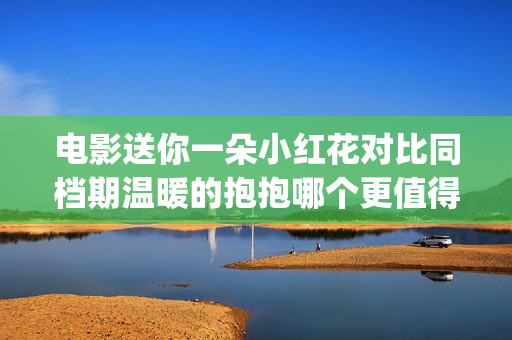 电影送你一朵小红花对比同档期温暖的抱抱哪个更值得投资？(电影送你一朵小红花剧情介绍)