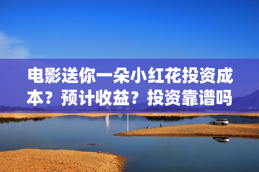 电影送你一朵小红花投资成本？预计收益？投资靠谱吗？(电影送你一朵小红花讲述的主题是抗癌吗)