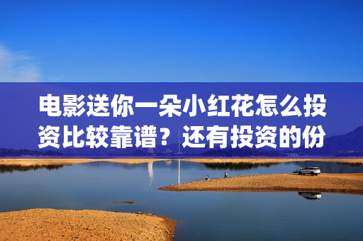 电影送你一朵小红花怎么投资比较靠谱？还有投资的份额吗？(电影送你一朵小红花观后感)
